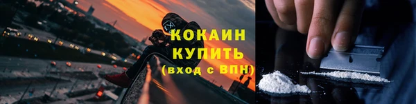 спиды Богданович