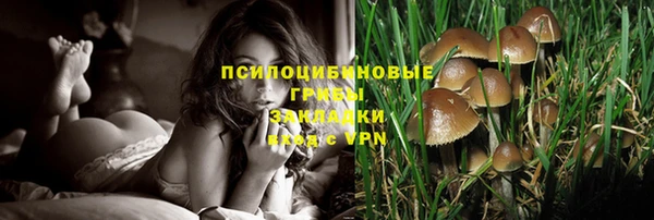 скорость Балахна