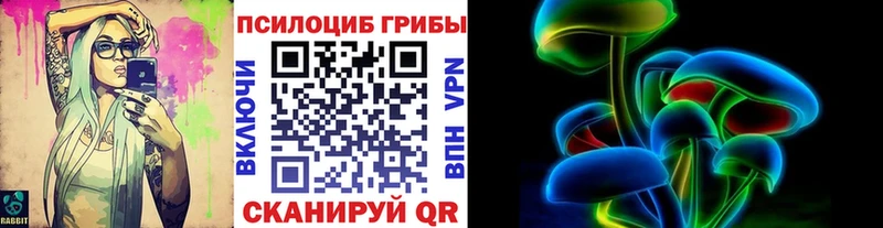 Купить где  Богородск  Псилоцибиновые грибы прущие грибы 